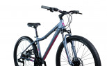 Велосипед Comanche Orinoco 27 L Disc 16", сірий-рожевий