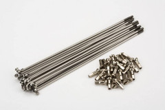 Спиця Mach1 Galva 260MM з ніпелем, сріблястий
