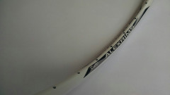Обід Alex Rims R450 CSW AV 36H 700C, білий