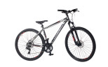 Велосипед Comanche Niagara 29 Comp 19", титановий-білий