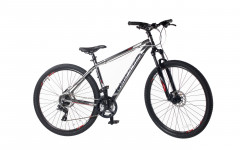 Велосипед Comanche Niagara 29 Comp 21", титановий-білий