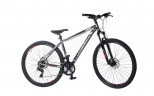 Велосипед Comanche Niagara 29 Comp 23", титановий-білий