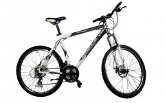 Велосипед Comanche Niagara Disc 19", сріблястий-білий